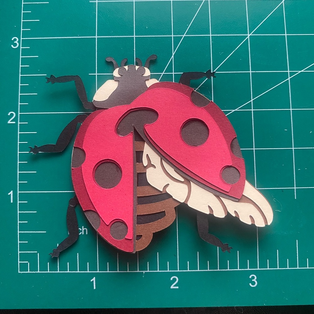 3D Magnet Ladybug Open Wing
